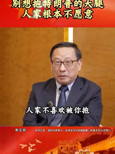 高志凯教授喊话高市：你要懂礼貌，人家根本不愿意被你抱大腿