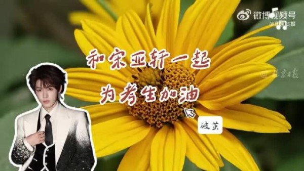 宋亚轩献唱《破茧》为中考生加油