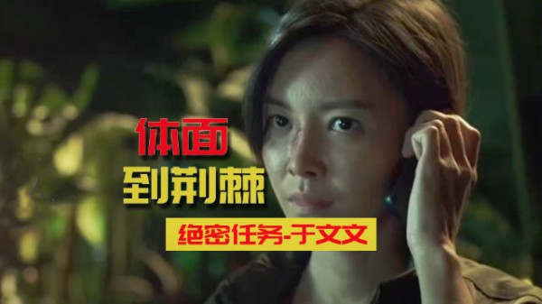于文文的《绝密任务》从体面到荆棘