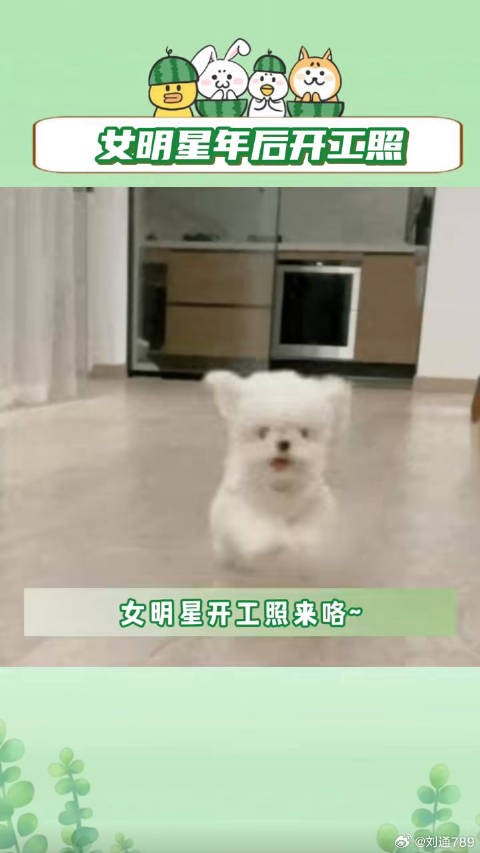 杨幂 关晓彤 微博VC计划