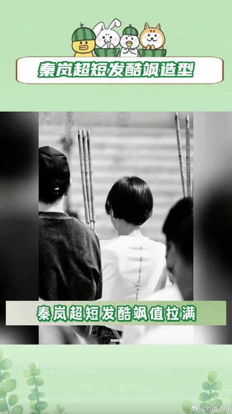 秦岚 平等之门 微博VC计划