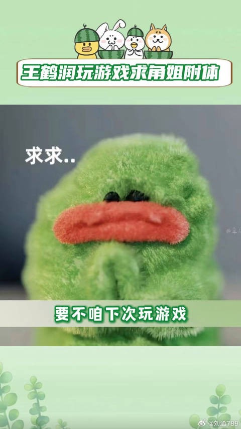十天之后回到现实 王鹤润 微博VC计划