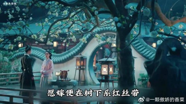 宋墨为窦昭求来婚姻自由令牌