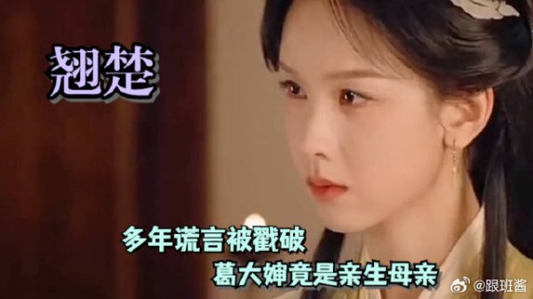 多年谎言被戳破，葛大婶竟是亲生母亲