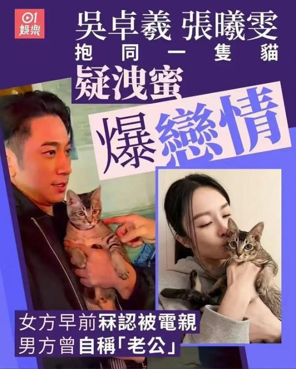 吴卓羲张曦雯疑因一只猫曝恋情？港媒脑洞太大，这瓜保熟吗？