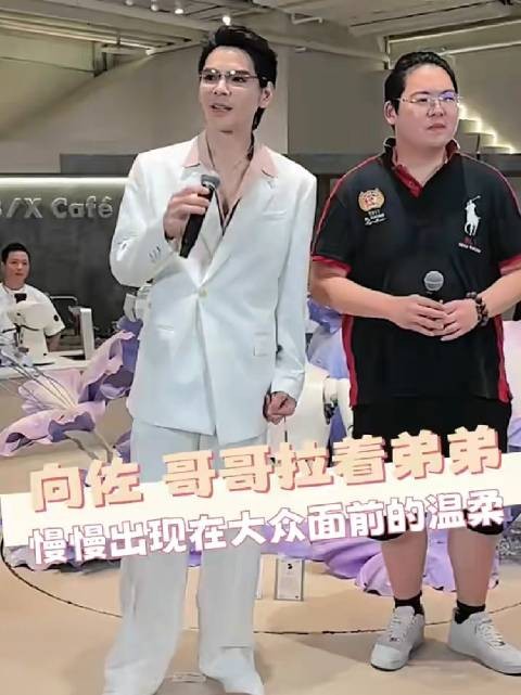 向佐向佑合体直播，兄弟情深引热议
