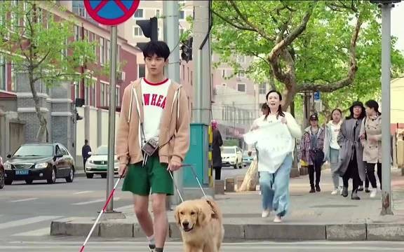 失明男孩首次出门场景感动众人
