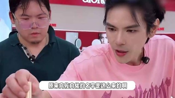 向太回应向佐向佑名字来源，是辅佐的“佐”保佑的“佑”，曝光俩儿子原名