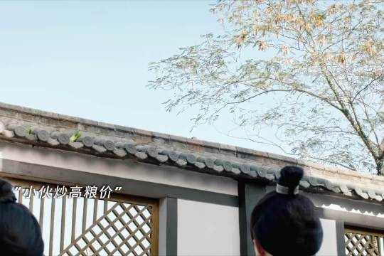 穿越到古代的小伙用炒股思维一招稳定粮食价格，惩治奸商 浣纱录