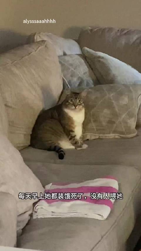 肉多 心眼子也多