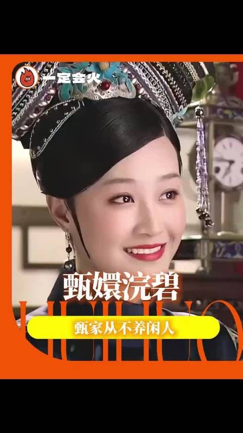 没有你们这些网友,这甄嬛传我是真看不明白