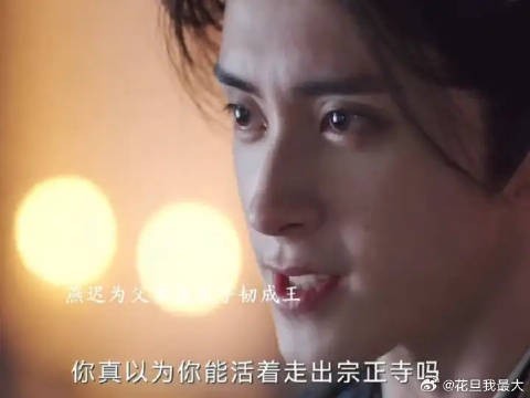 成王鲨了太子，原来燕迟父亲是成王害的，到最后燕迟解决了成王