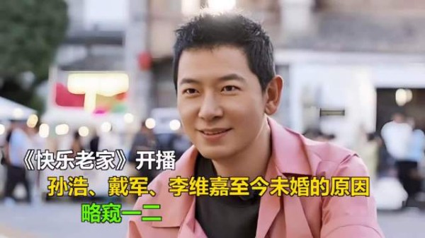 《快乐老家》开播:孙浩、戴军、李维嘉至今未婚的原因,略窥一二