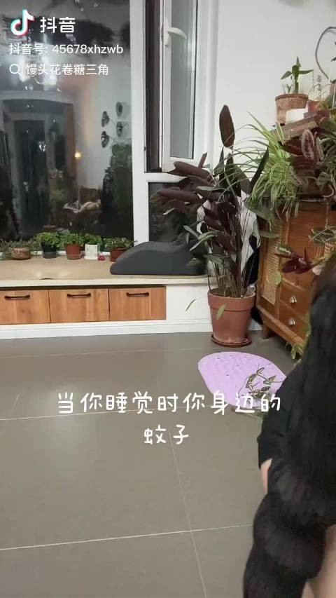 太像蚊子了