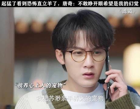 太吓人,羊驼直立行走
