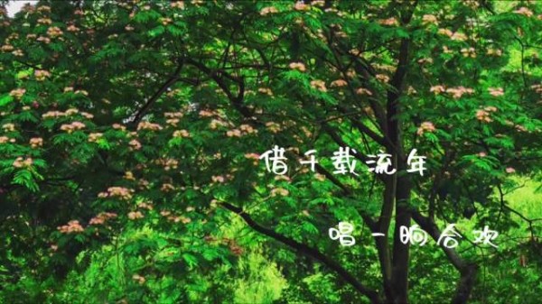 合欢花盛开时节忆十七王爷