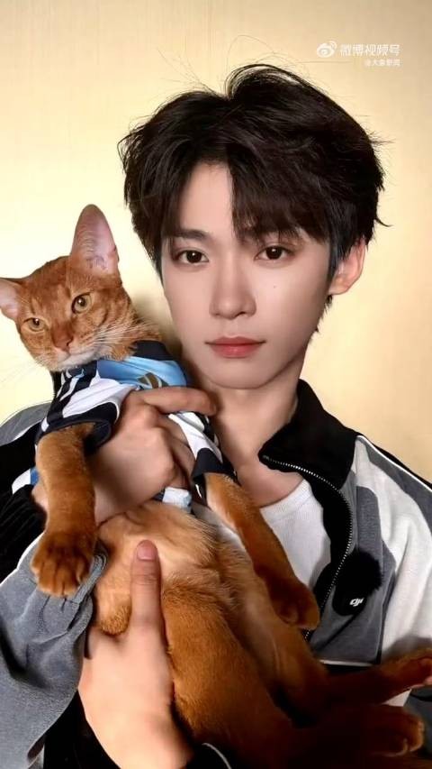 梓渝与宠物猫互动背后正向力量