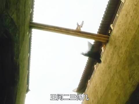 赢政测试完嫪毐的服从性后，又与幼时的伙伴相见