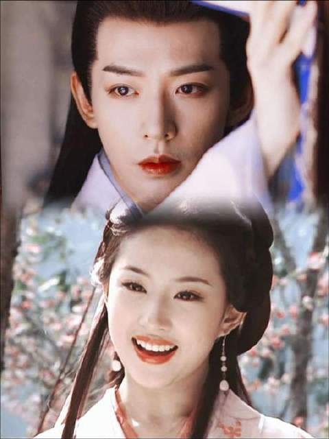 传闻郑府迎入一位王姑娘，风姿绰约，气韵非凡 王语嫣 楼启炎
