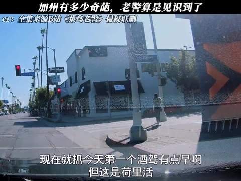 加州奇葩频现，《菜鸟老警》见证实录