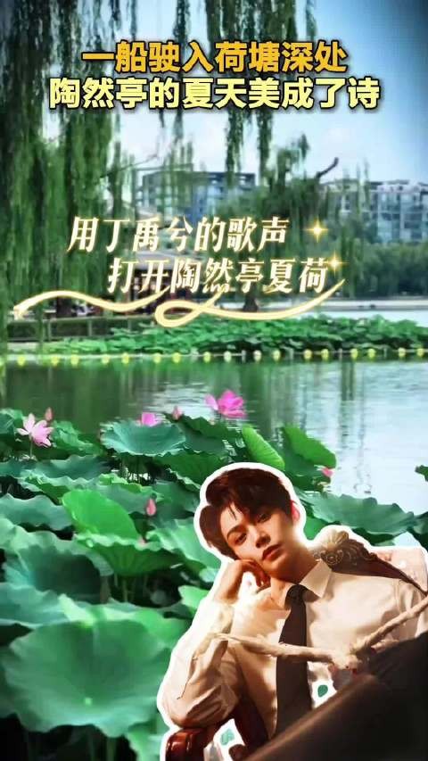 用丁禹兮的歌声打开陶然亭夏荷