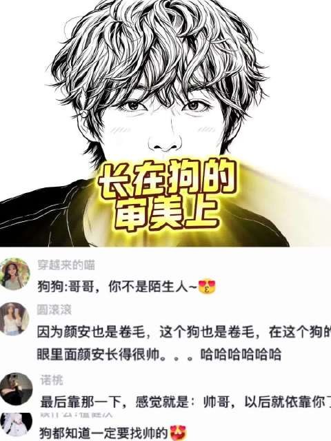 一个愣住,一个气死哈哈,狗狗:他长在我的审美点上