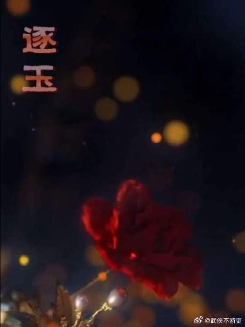全城小娘子疯追谢征,买肉堪比追星现场