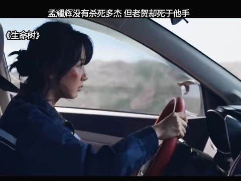 生命树:这一段太紧张了,孟耀辉交代一切,杨紫这演技也是无敌了