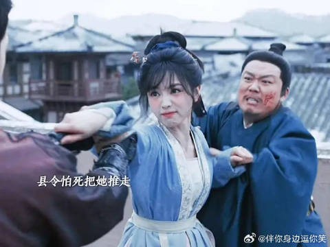 长玉潜入军营挟持随元青
