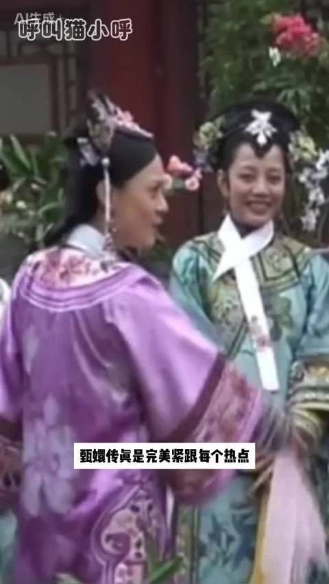 没有甄嬛传，接不上来的梗