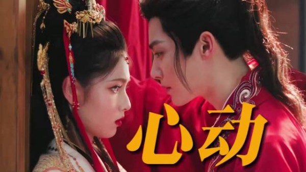 侯明昊艾米首搭演情侣，新剧《雀骨》打破内娱换乘循环