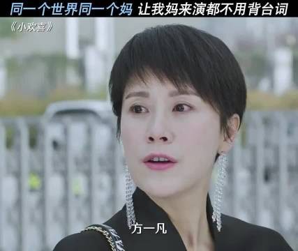 巧了，让我妈来演也不用背台词， 童文洁 / 小欢喜