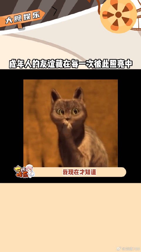张颂文接戏原因真的让我们破大防张颂文为副导演结婚接下电影