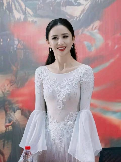 佟丽娅离婚后事业再创新高,陈思成难忘其体面善良