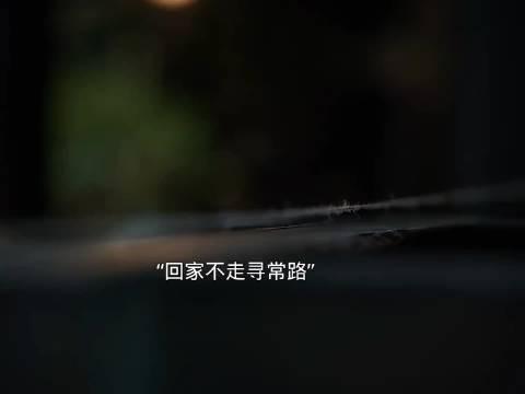 王家机关暗藏杀机，父女双绝引热议
