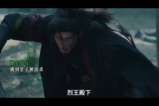 腹黑郡主拒援落难皇子当场反唇相讥