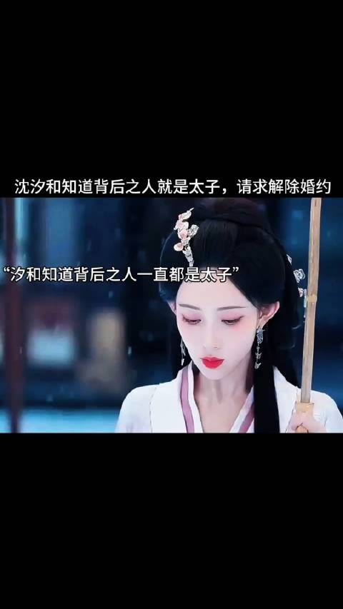 沈汐和知道背后之人就是太子,请求解除婚约