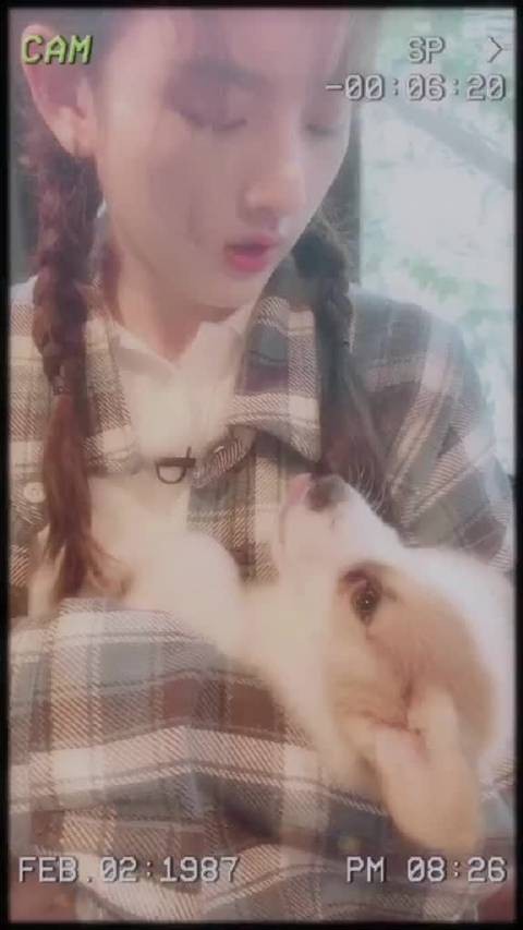 此时，小圆圆还不是大的模样