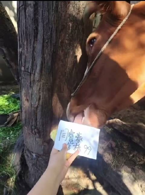 啊啊啊啊啊啊啊啊啊啊啊啊啊笑得不行