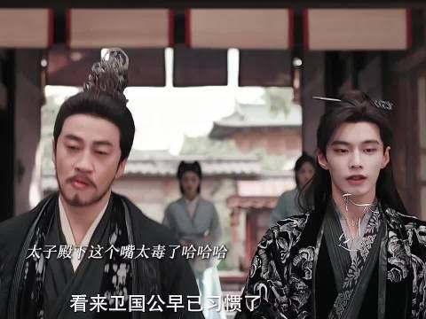 岳父看女婿越来越不顺眼~太子句句扎他心！
