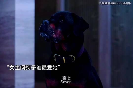 女主问一条狗谁最爱她