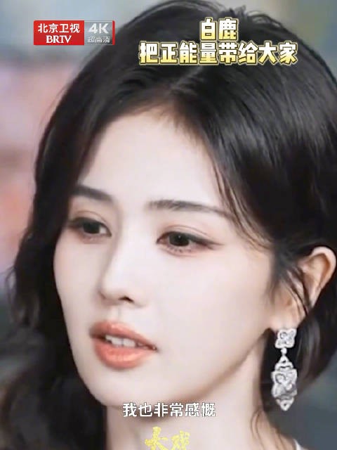 白鹿说十年一闪而过