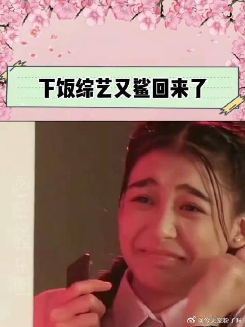 我的下饭综艺鲨回来了!向往的生活 向往的生活第八季