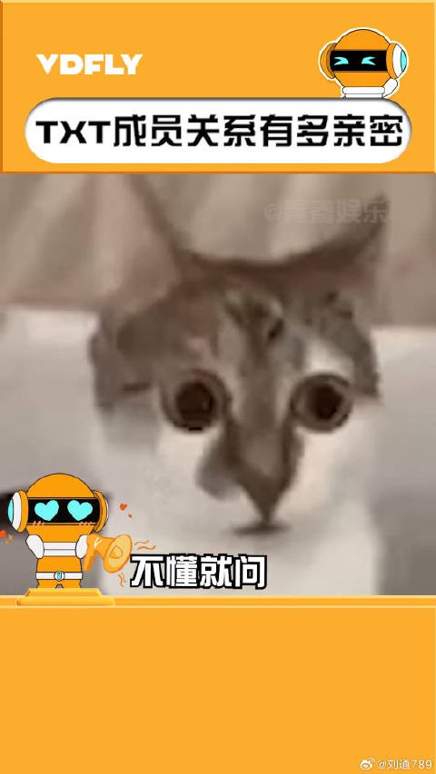 休宁凯 不懂就问,你们俩在干嘛!微博VC计划