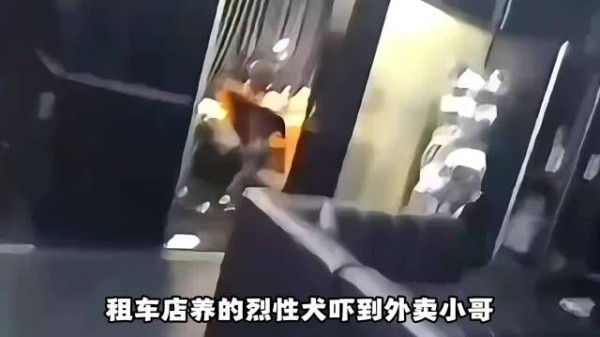 租车店养的烈性犬吓到外卖小哥却拒不道歉,直播回应逆天言论频出烈性犬