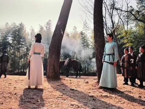 杨洋凭《雨霖铃》反超张凌赫,首尔电视剧大赏暂列第一