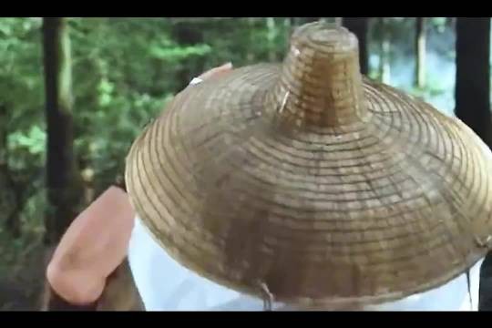 强盗打劫一个绝世美人回家