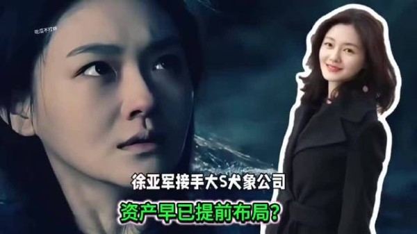 许雅钧接手犬象?关大S什么事? 许雅钧 具俊晔被曝与大S子女争遗产