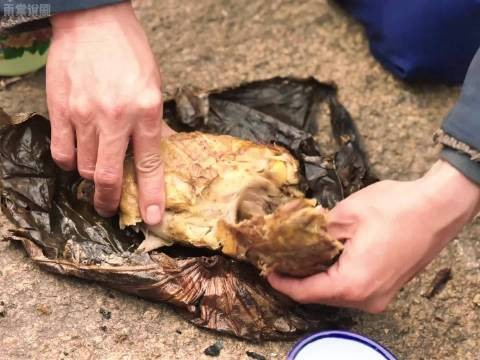 大力打了一只野鸡，汪新和姚玉玲吃完才知道是偷的 南来北往 白敬亭 金晨