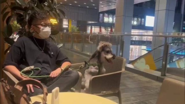 一整个主仆同心,果然谁养的像谁